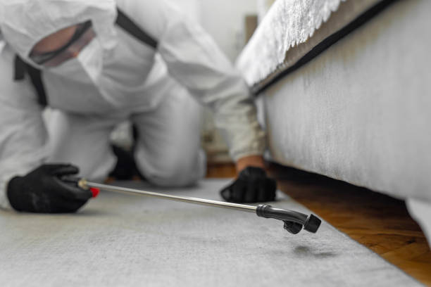 Professional Pest Control technician working in Park County County, WY